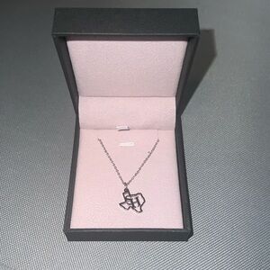Stainless Steel Texas Necklace | Sam Houston State